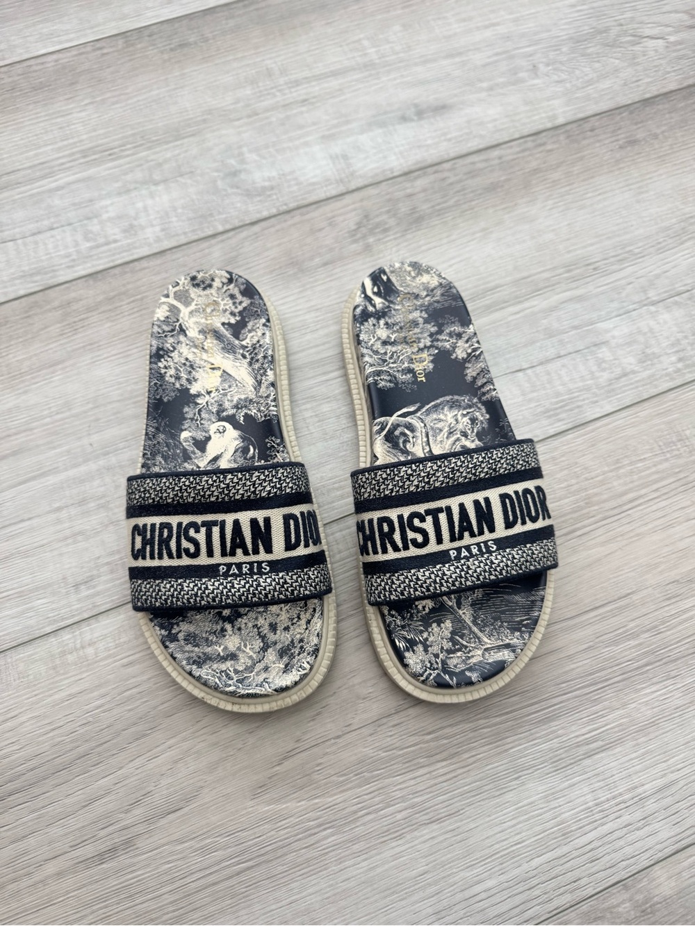 Christian Dior Navy & Cream Logo Slide Sandals